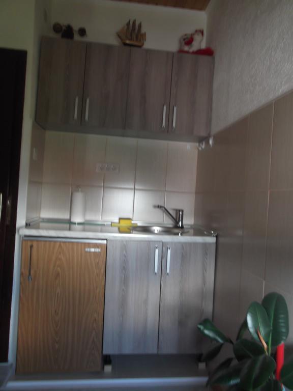 卡维迪斯旅馆公寓 Žabljak 外观 照片